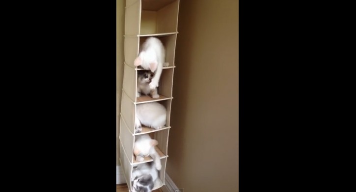 2015y06m28d_172033162