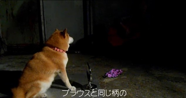 2016y01m04d_181624340