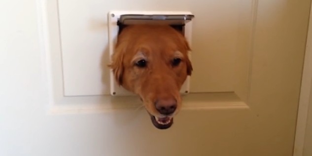 2016y01m04d_182209060