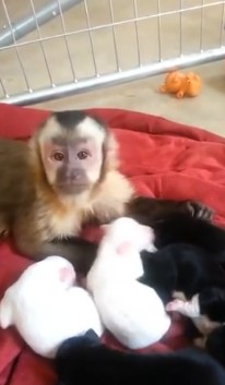 2016y01m04d_182625742