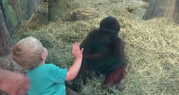 2016y01m09d_100540362