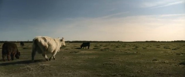 2016y01m09d_101220467