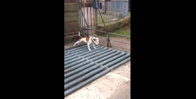 2016y01m19d_143151782