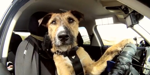 2016y01m28d_162429078