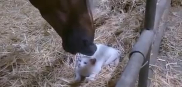 2016y01m28d_212310222