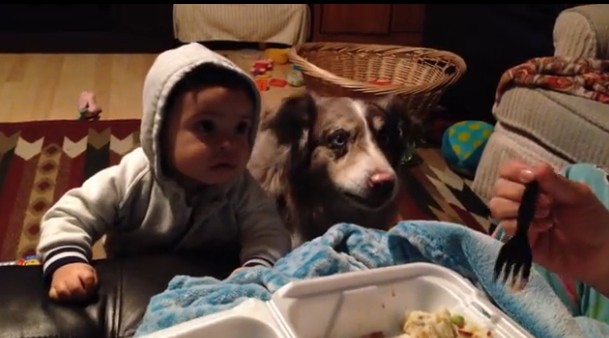 2016y01m28d_212826284