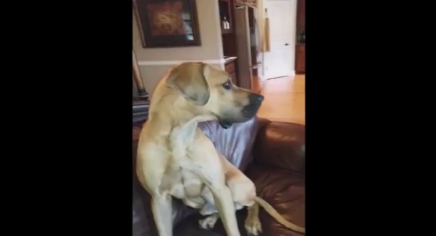 2016y01m28d_225636964