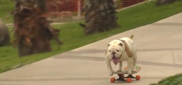 2016y02m07d_141336136