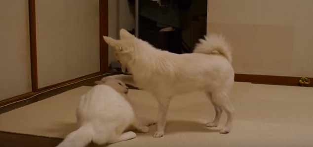 2016y02m10d_131956500