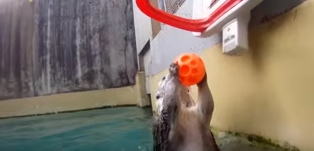 2016y02m10d_163028989