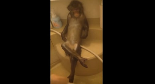 2016y02m13d_124457559