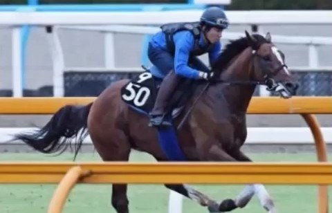 2016y09m16d_124227648