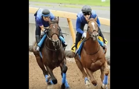 2016y09m16d_124456543