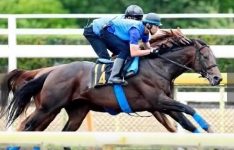 2016y09m16d_130416927