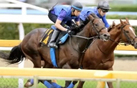 2016y09m16d_130516350