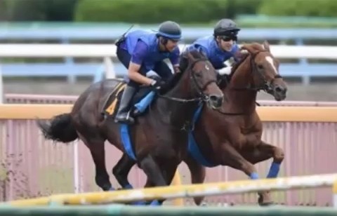 2016y09m16d_130609950