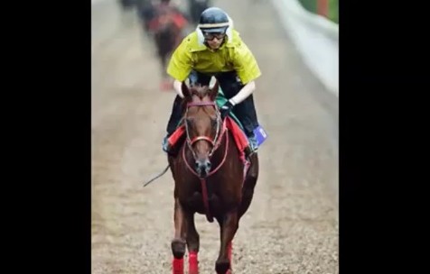 2016y09m30d_140719992