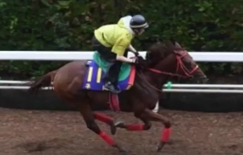 2016y09m30d_140809847