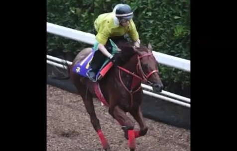 2016y09m30d_140911252