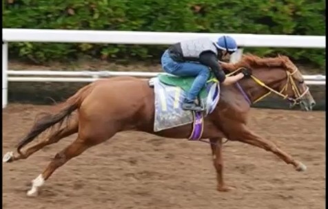 2016y09m30d_141921745