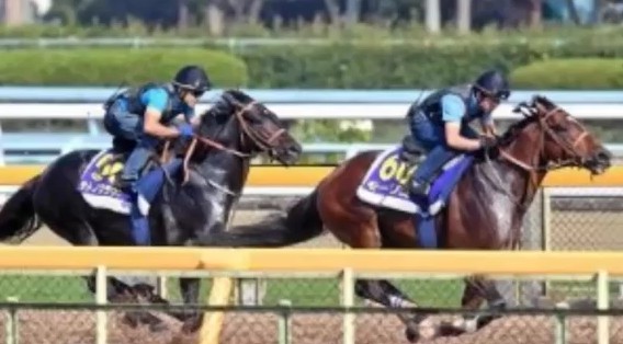 2016y10m26d_202319147