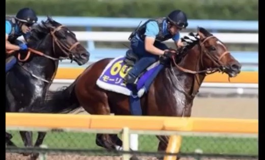 2016y10m26d_203633750