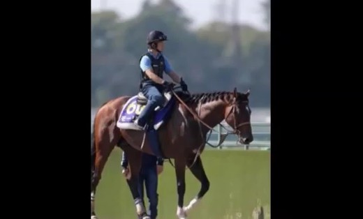 2016y10m26d_203750349