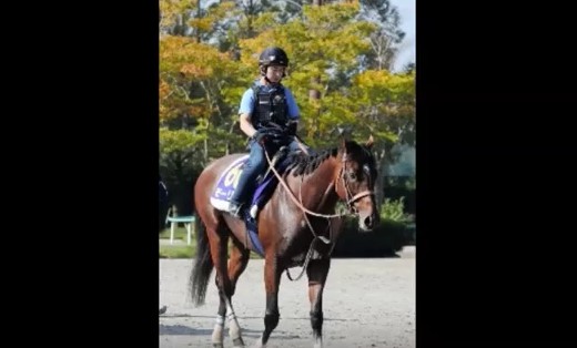 2016y10m26d_205004671