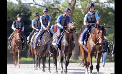 2016y10m26d_205138030