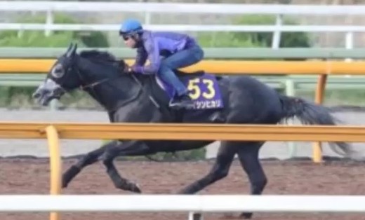 2016y10m26d_215918440